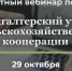 Учись в онлайне: Сегодня освоим особенности бухгалтерского учета - Ютазинский район